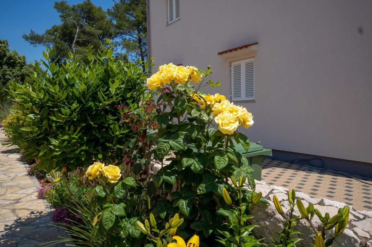 Apartments Pavic - Sapavac Vir Εξωτερικό φωτογραφία
