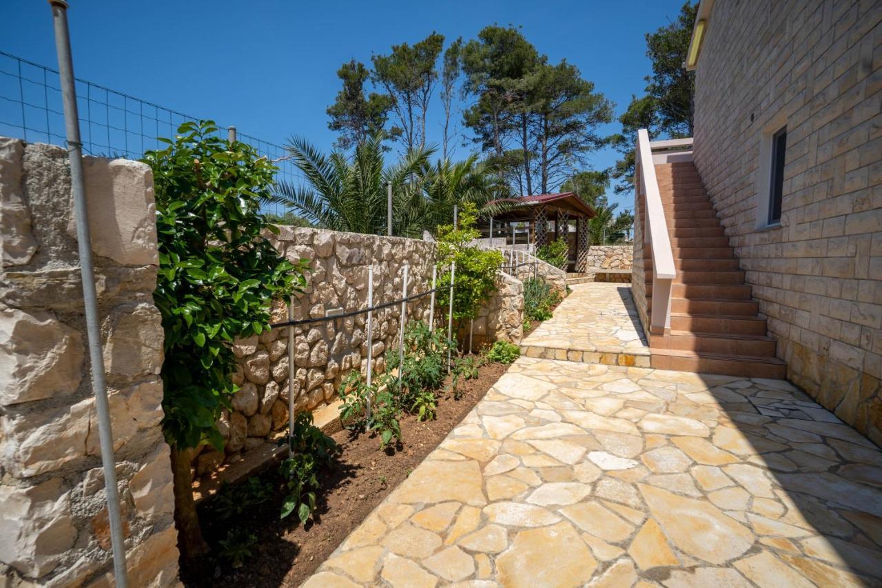 Apartments Pavic - Sapavac Vir Εξωτερικό φωτογραφία